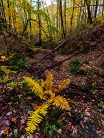 _13A3833sq copy