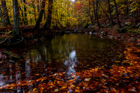 _13A3949sq copy
