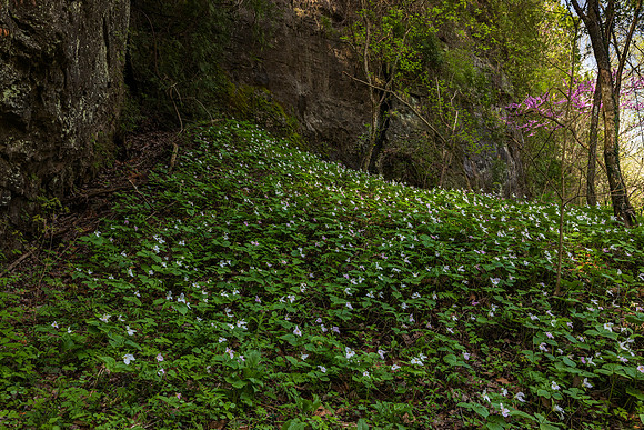 _13A6884sq copy