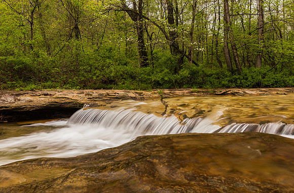 _13A7031sq copy