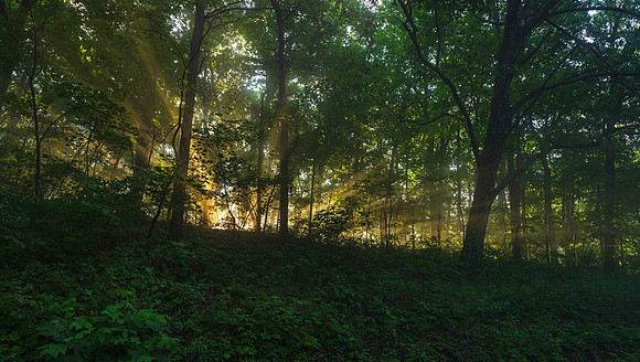 _13A8545sq copy