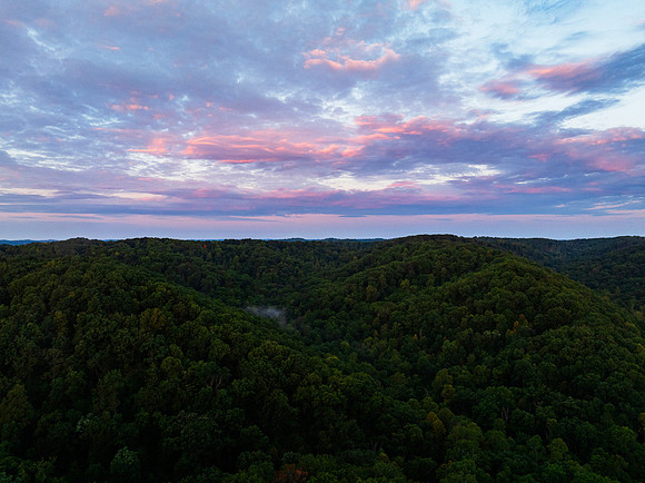 DJI_0779sq copy