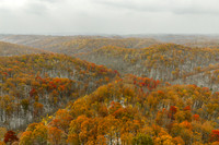 DJI_20251110103228_0629_Dsq copy