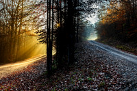_13A4439 copy